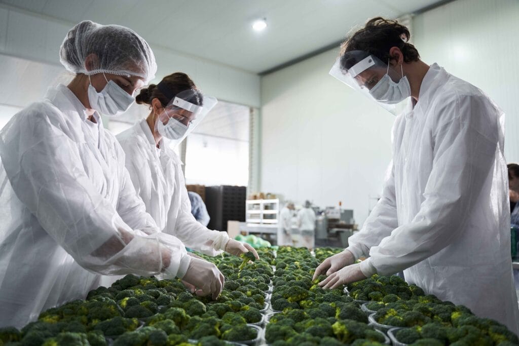 Sertifikasi ISO food safety